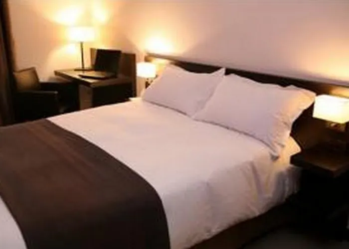 Otel Perrache 3*
